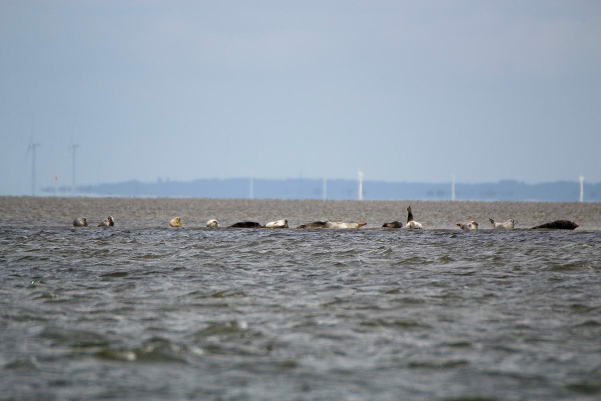 IMG_2012_08_23_003673a_Bildgr��e �ndern