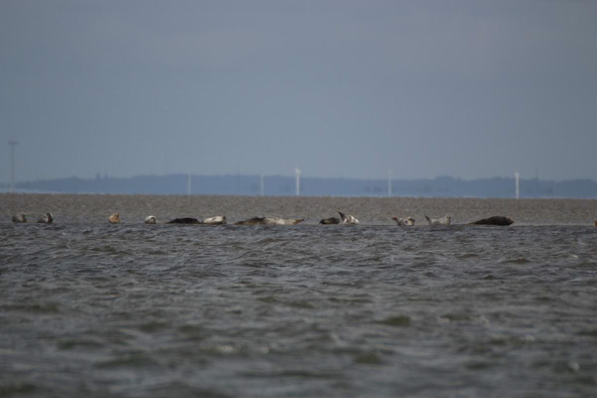 IMG_2012_08_23_003675_Bildgr��e �ndern