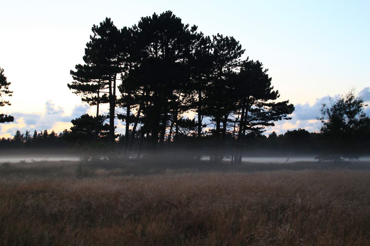 IMG_2012_08_24_004479_Bildgr��e �ndern