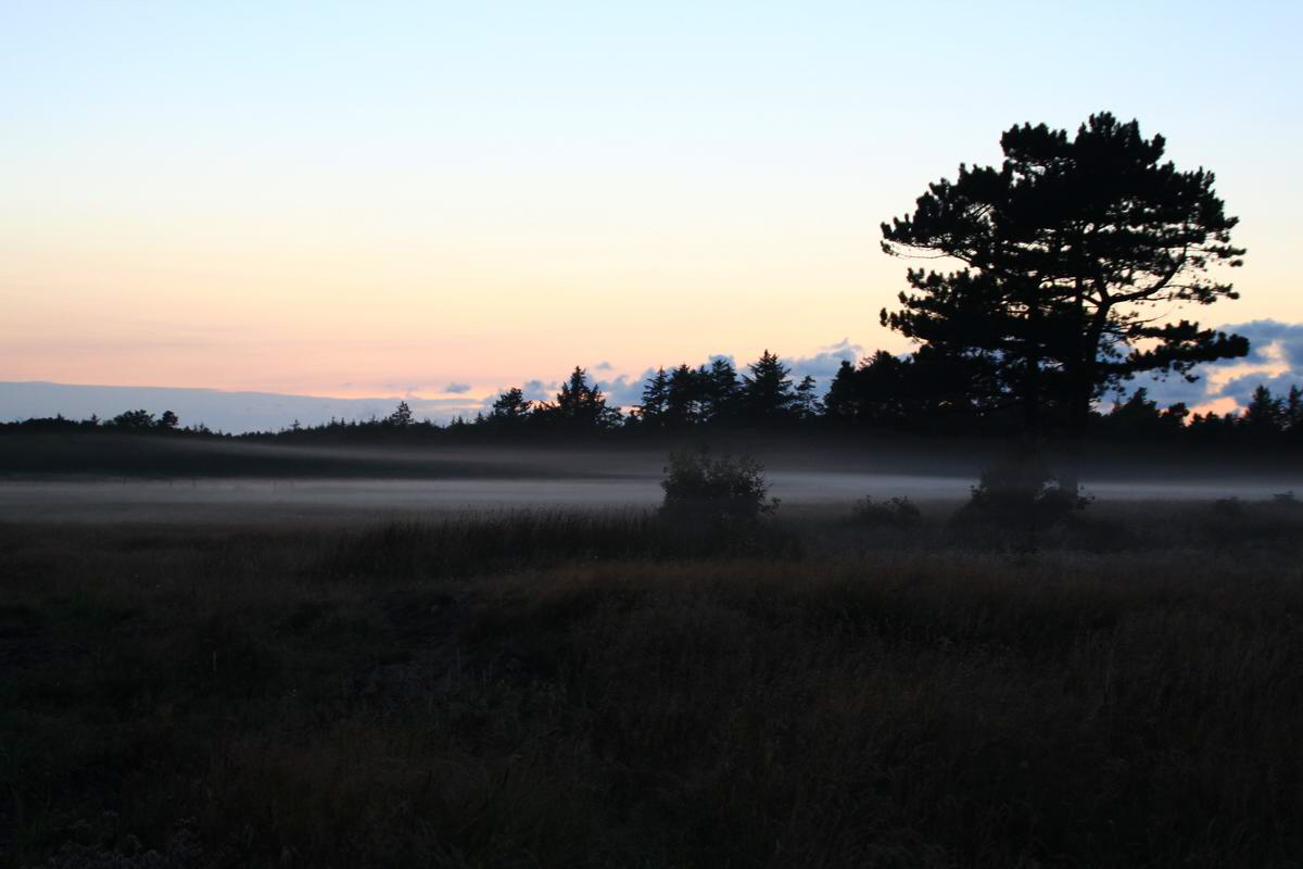 IMG_2012_08_24_004482_Bildgr��e �ndern