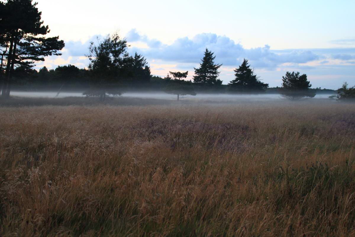 IMG_2012_08_24_004484_Bildgr��e �ndern