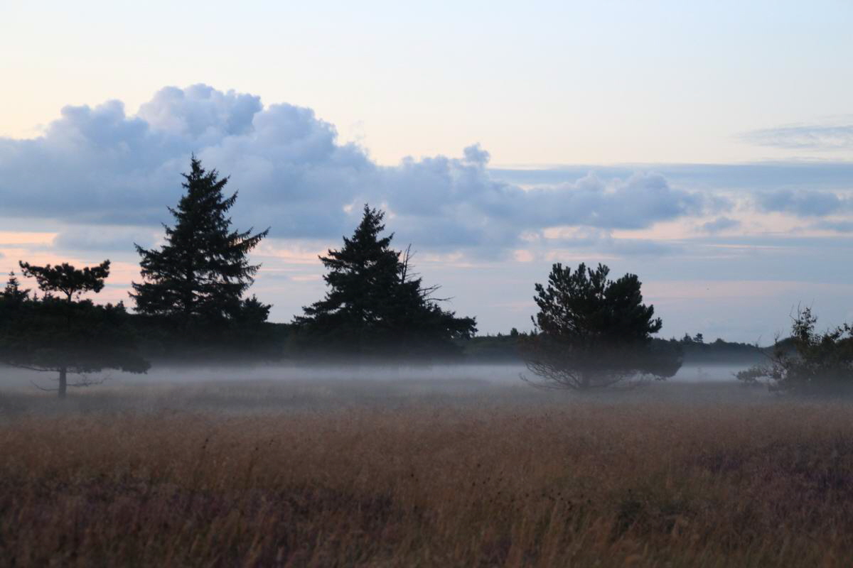 IMG_2012_08_24_004494_Bildgr��e �ndern