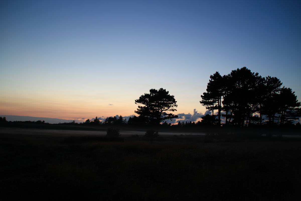 IMG_2012_08_24_004506_Bildgr��e �ndern