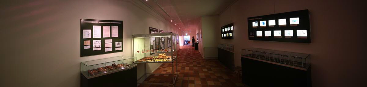 [Group 4]-IMG_2012_08_28_006352_IMG_2012_08_28_006357-3 images_Bildgr��e �ndern