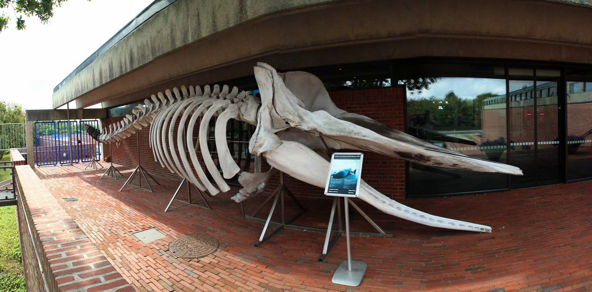 [Group 1]-IMG_2012_08_29_006463_IMG_2012_08_29_006486-4 images_Bildgr��e �ndern