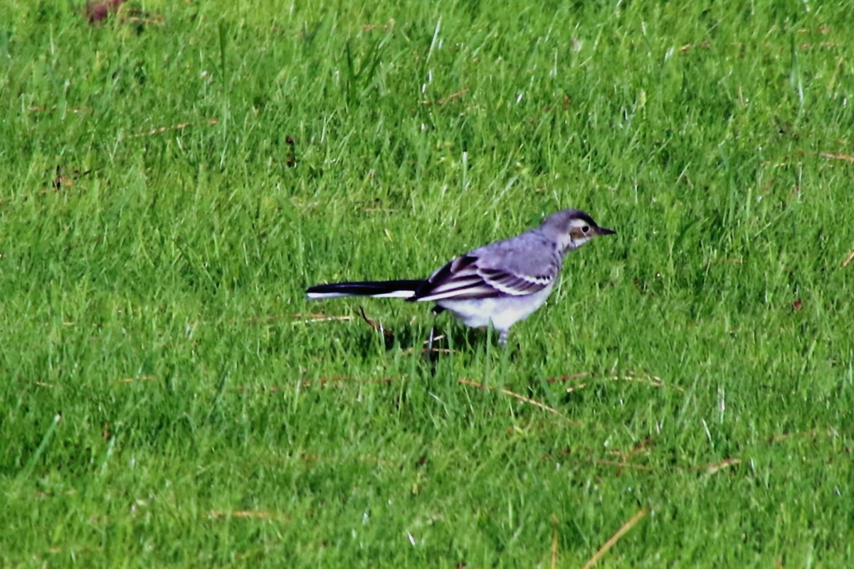 2015_09_05_012895p_Bildgr��e �ndern