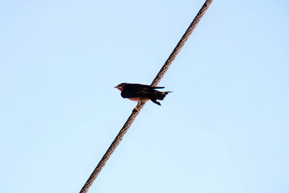 2015_09_06_013019p_Bildgr��e �ndern