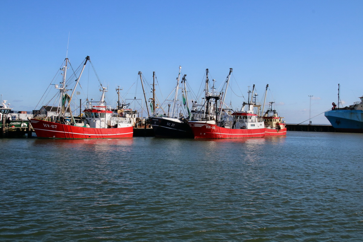 2015_09_06_013049p_Bildgr��e �ndern