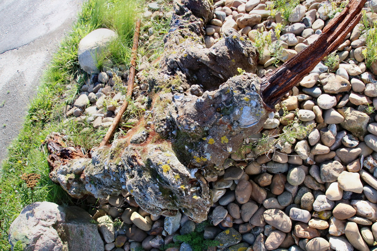 2015_09_06_013075p_Bildgr��e �ndern