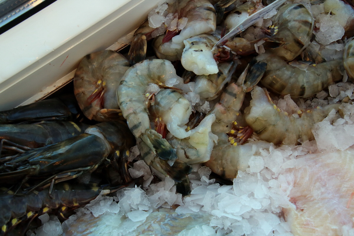 2015_09_06_013080p_Bildgr��e �ndern