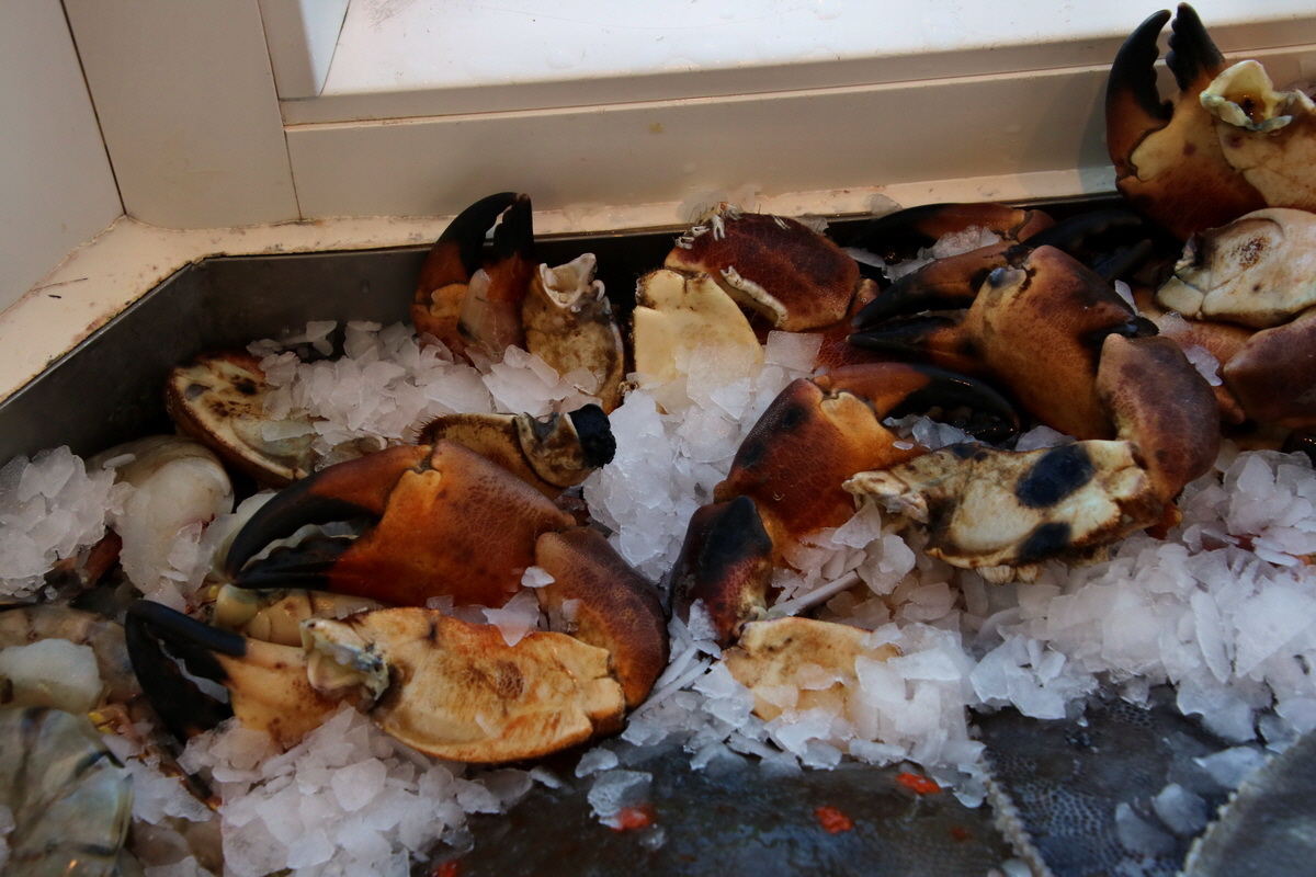 2015_09_06_013082p_Bildgr��e �ndern