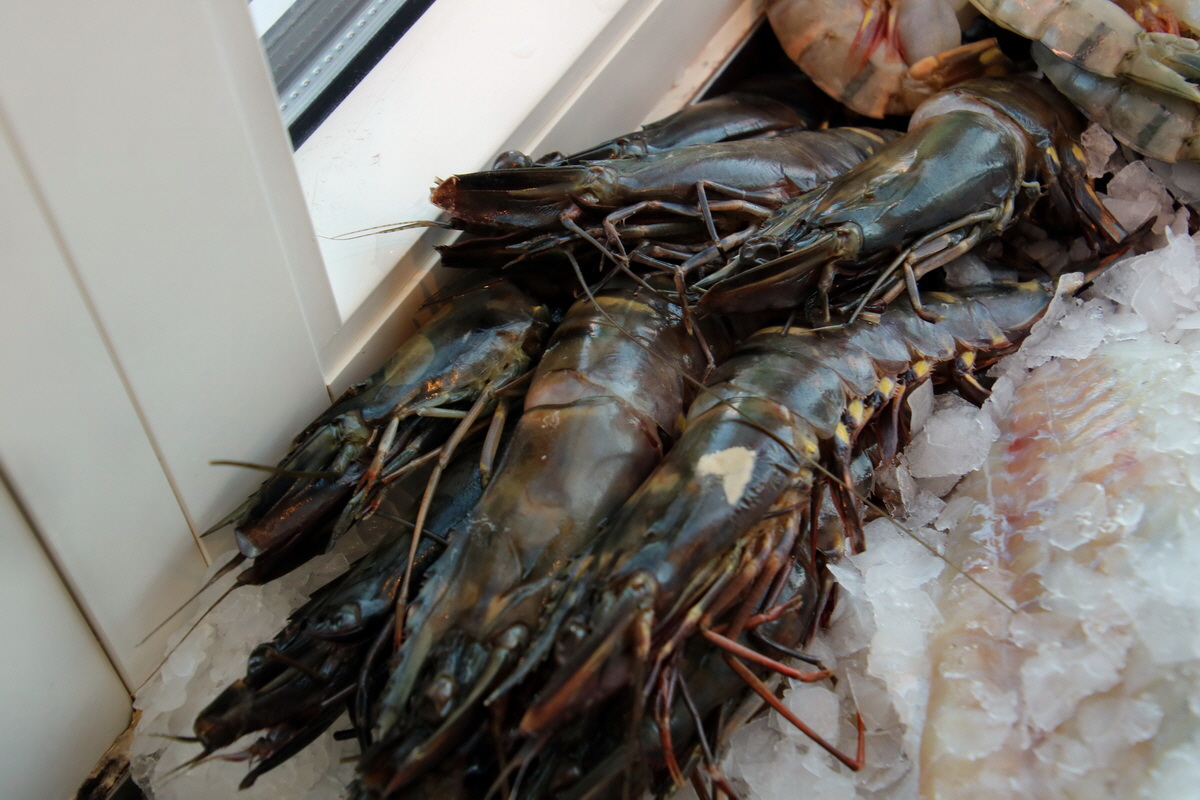 2015_09_06_013086p_Bildgr��e �ndern