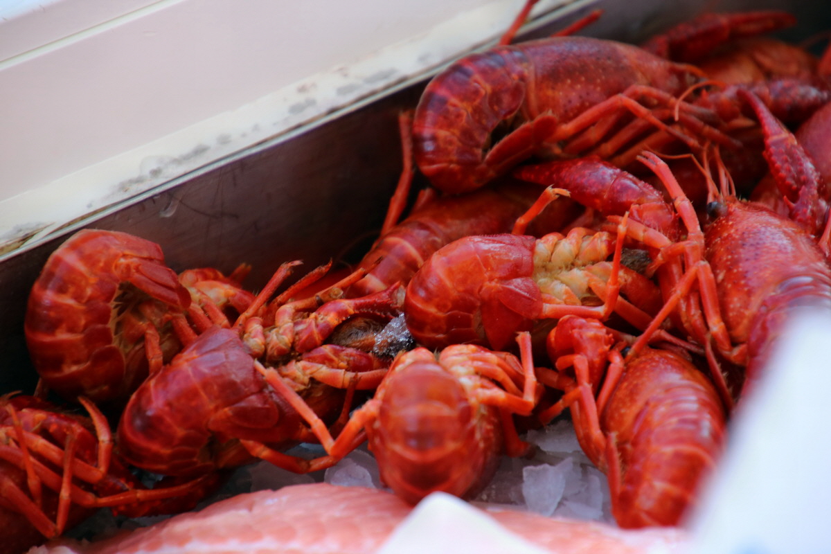 2015_09_06_013089p_Bildgr��e �ndern