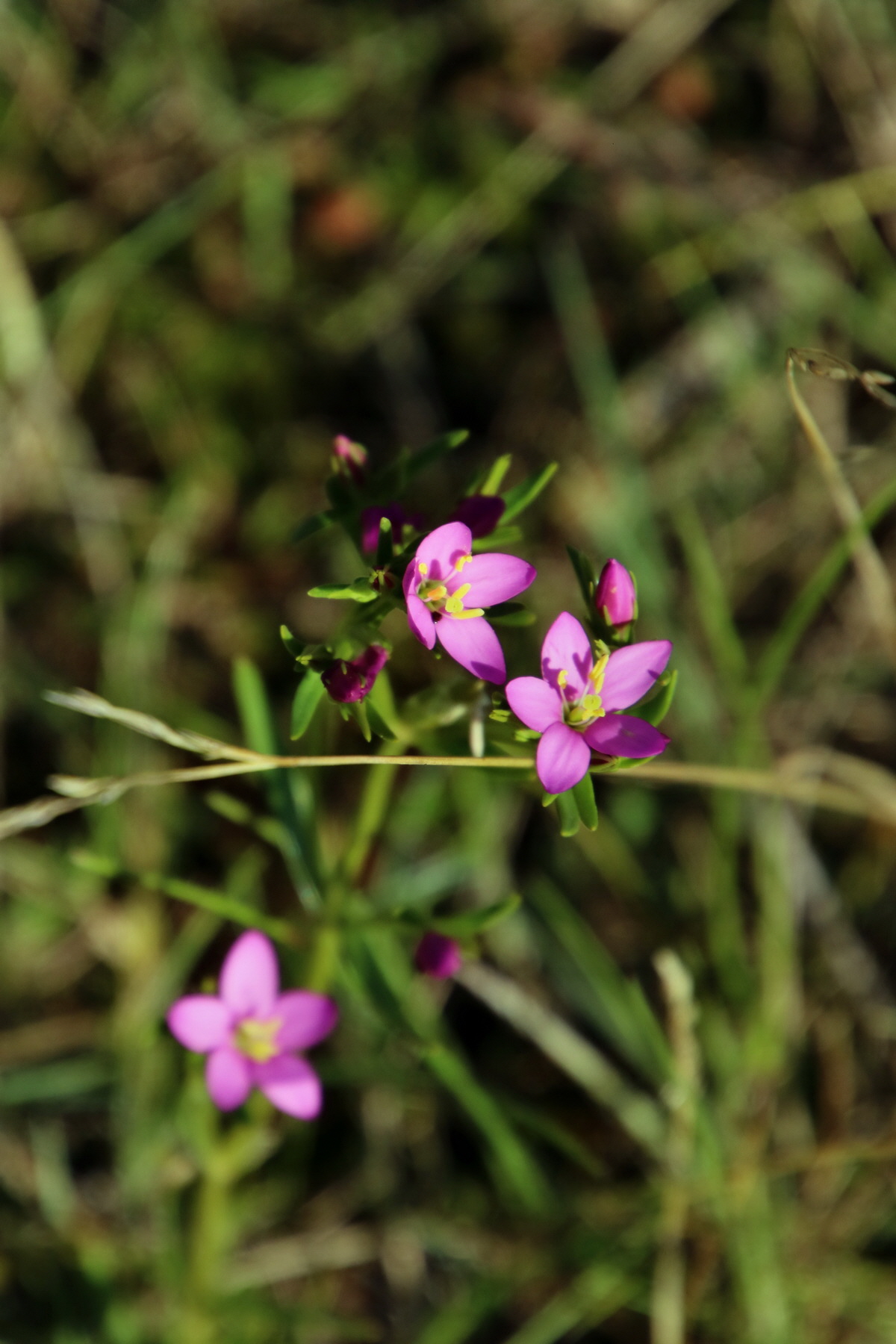 2015_09_06_013162p_Bildgr��e �ndern