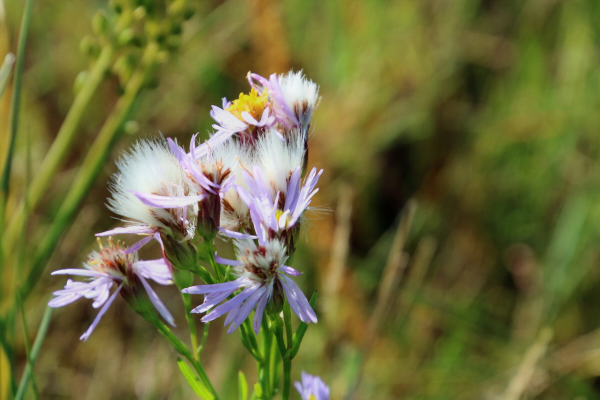 2015_09_06_013170p_Bildgr��e �ndern