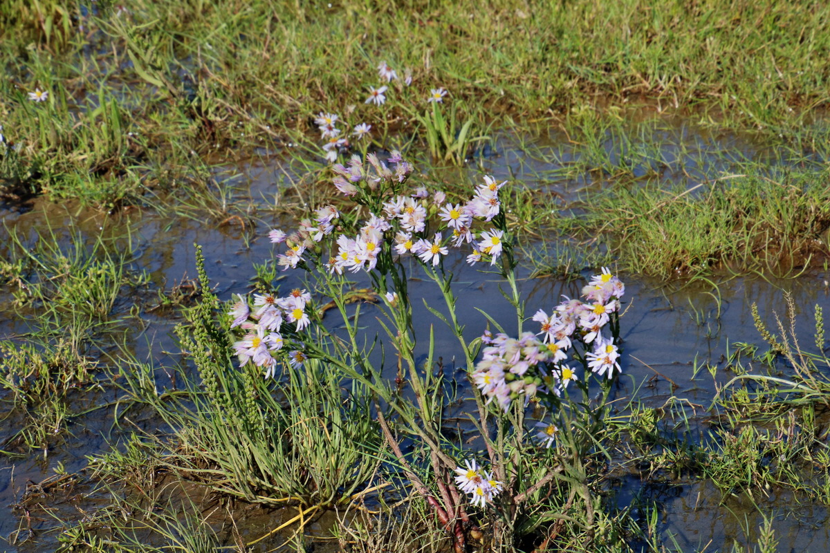 2015_09_06_013176p_Bildgr��e �ndern