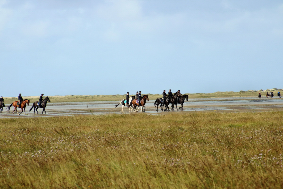 2015_09_06_013182p_Bildgr��e �ndern