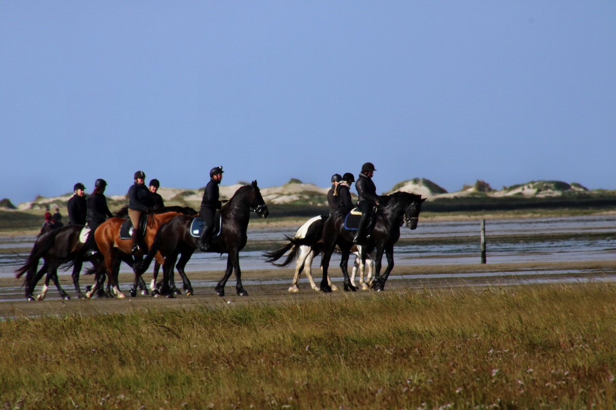 2015_09_06_013197p_Bildgr��e �ndern