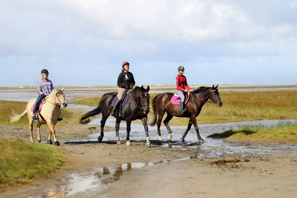 2015_09_06_013249p_Bildgr��e �ndern