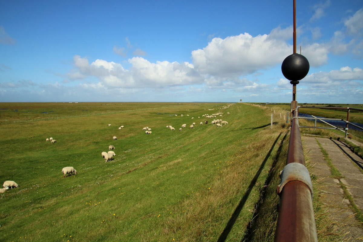 2015_09_06_013278p_Bildgr��e �ndern