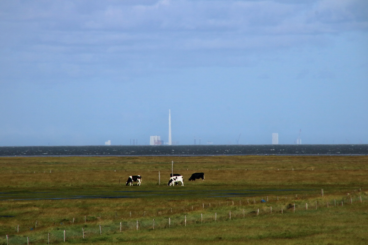 2015_09_06_013279p_Bildgr��e �ndern