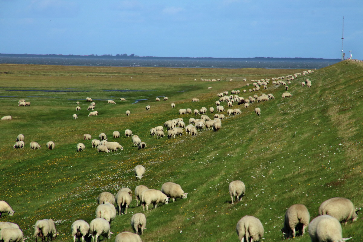 2015_09_06_013295p_Bildgr��e �ndern