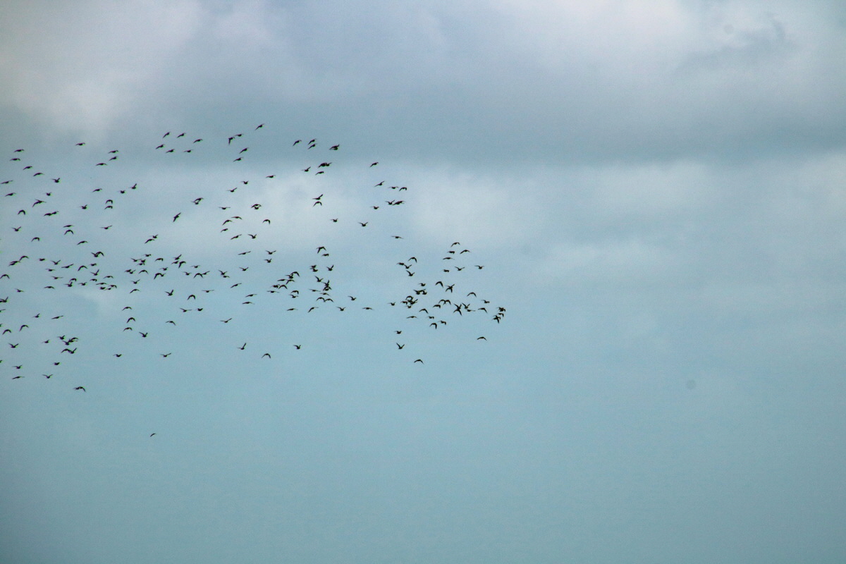 2015_09_06_013300p_Bildgr��e �ndern