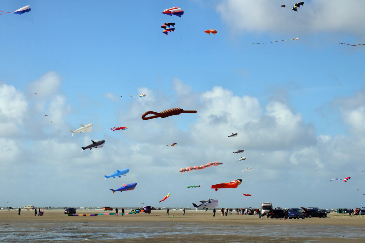 2015_09_06_013316p_Bildgr��e �ndern