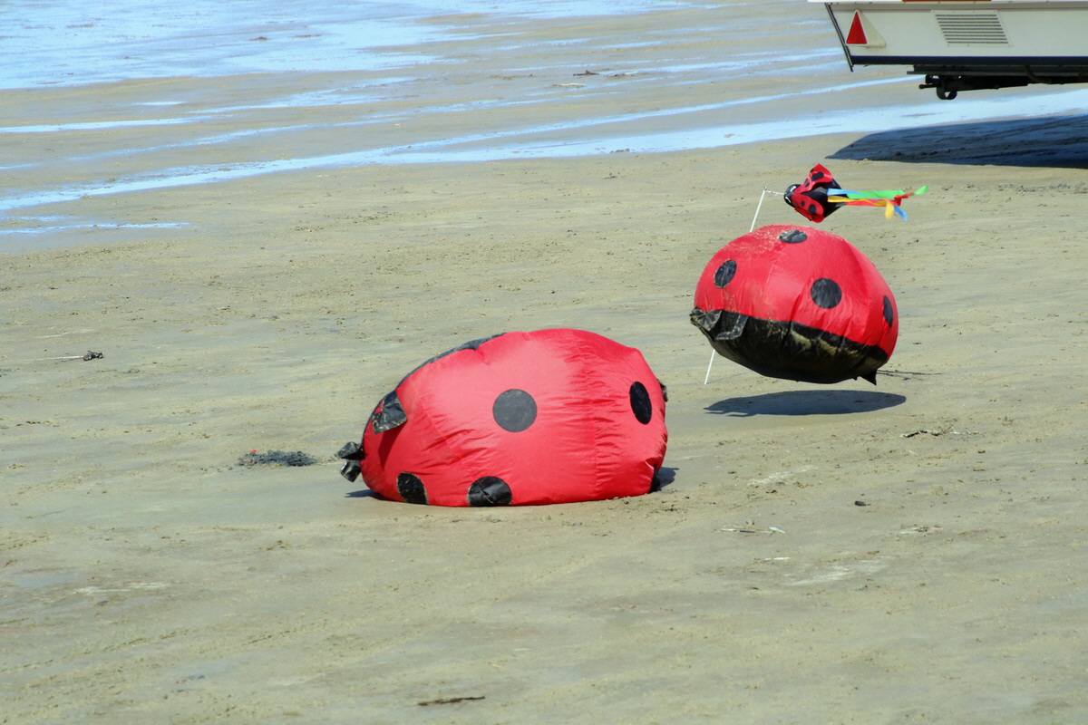 2015_09_06_013330p_Bildgr��e �ndern