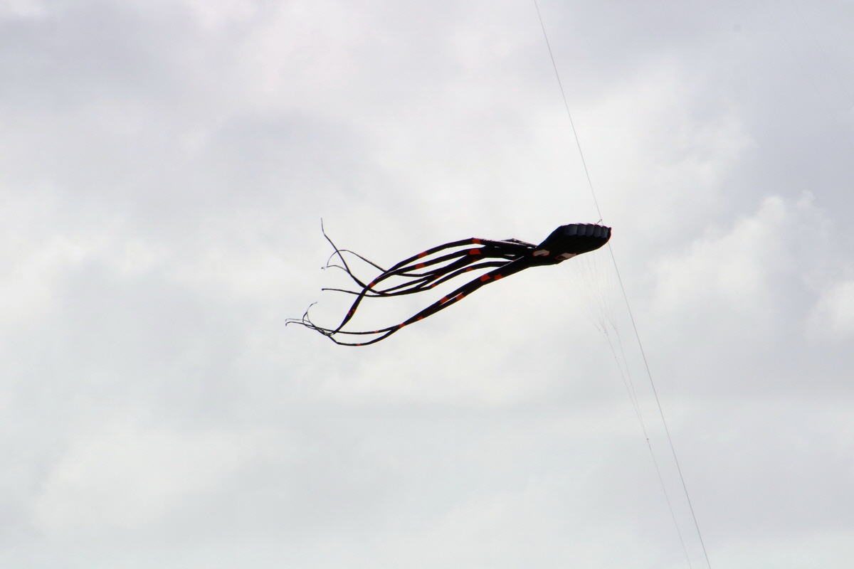 2015_09_06_013337p_Bildgr��e �ndern