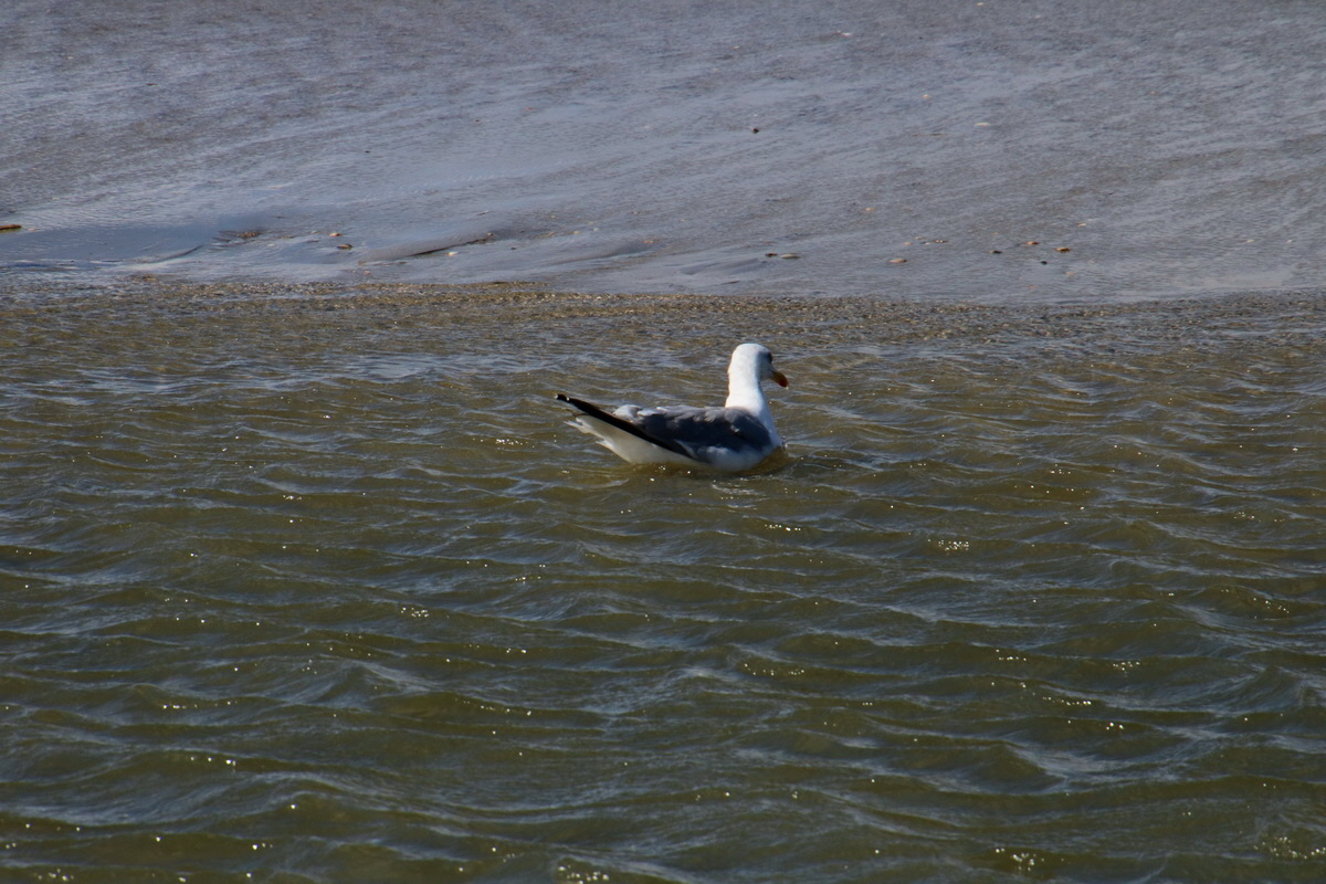 2015_09_06_013346p_Bildgr��e �ndern