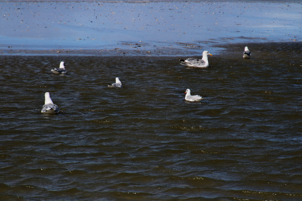 2015_09_06_013351p_Bildgr��e �ndern