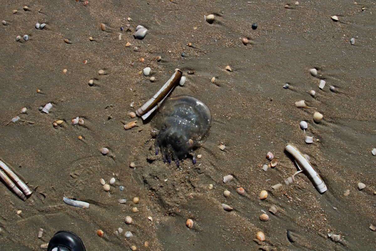 2015_09_06_013357p_Bildgr��e �ndern