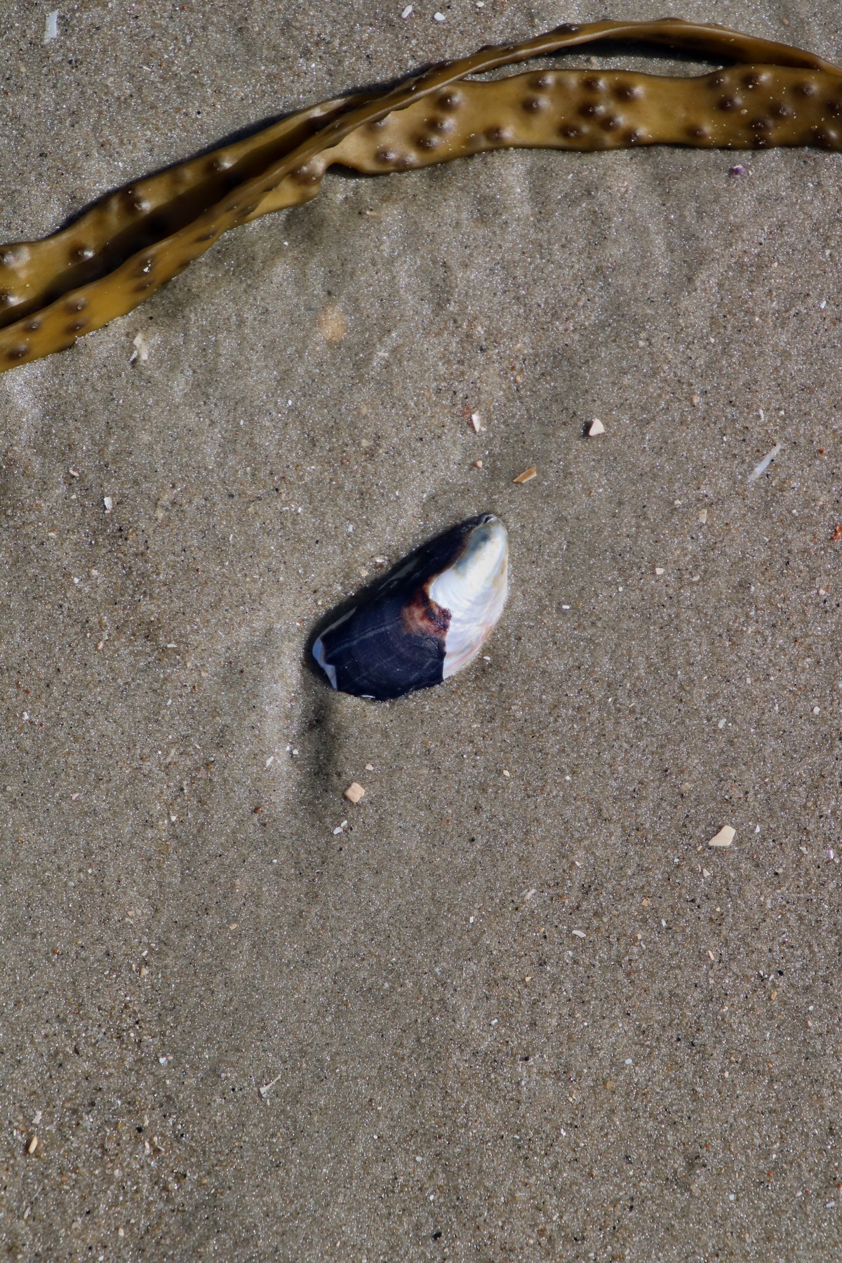 2015_09_06_013361p_Bildgr��e �ndern