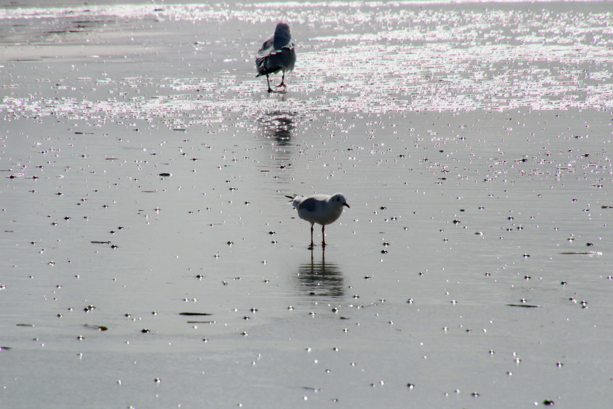 2015_09_06_013363p_Bildgr��e �ndern