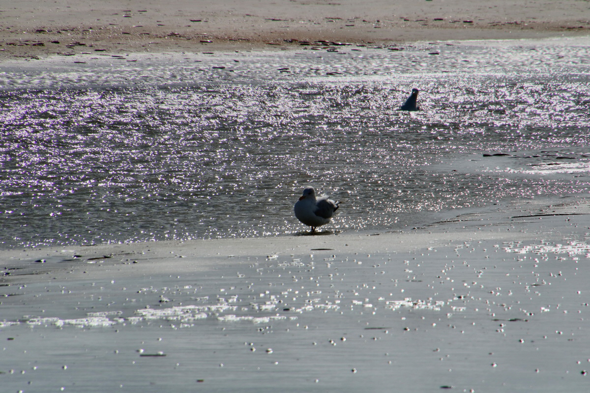 2015_09_06_013370p_Bildgr��e �ndern