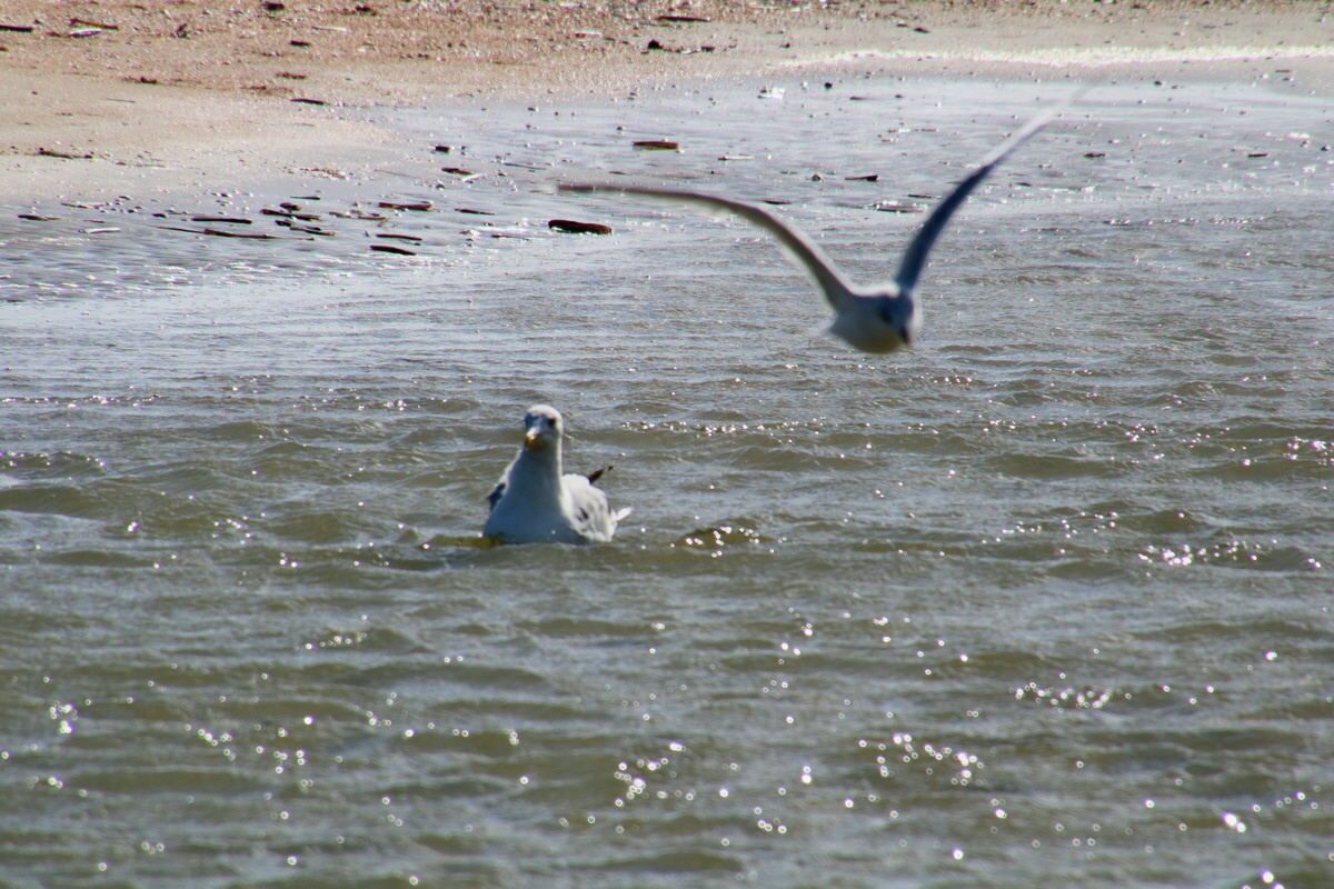 2015_09_06_013375p_Bildgr��e �ndern