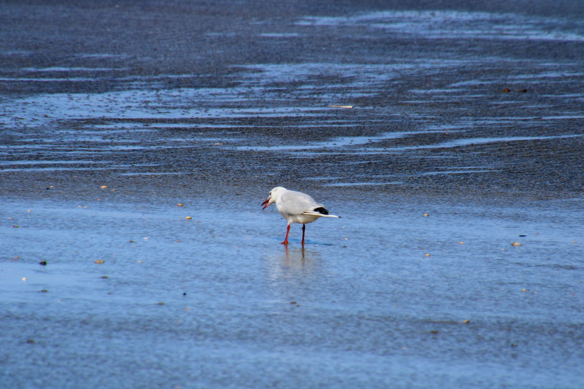 2015_09_06_013512p_Bildgr��e �ndern