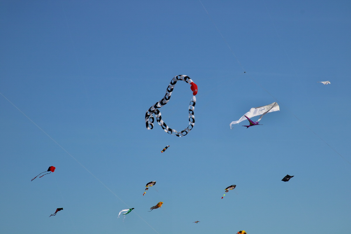 2015_09_07_013703p_Bildgr��e �ndern