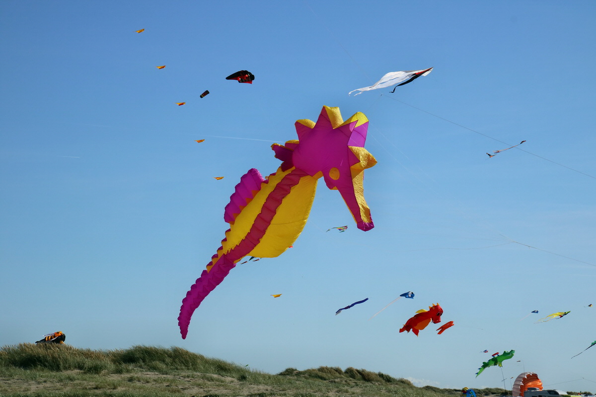 2015_09_07_013714p_Bildgr��e �ndern