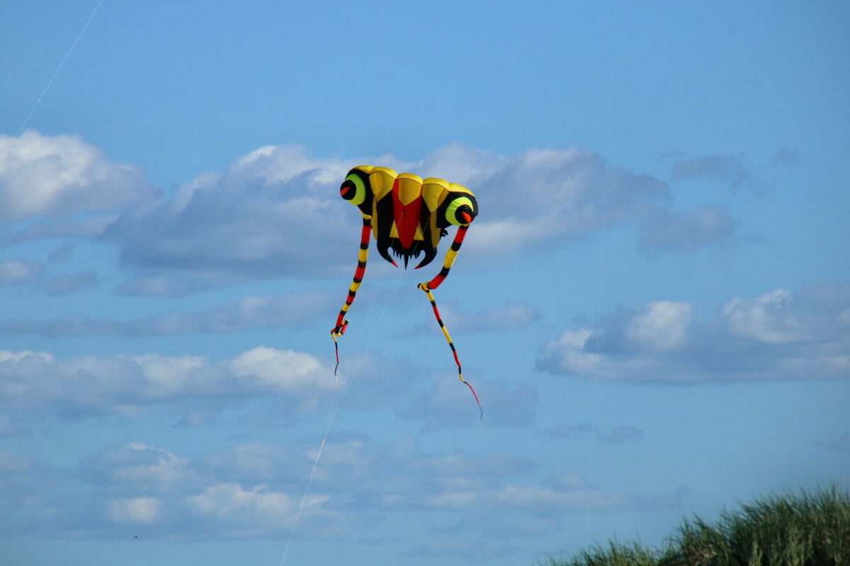 2015_09_07_013740p_Bildgr��e �ndern