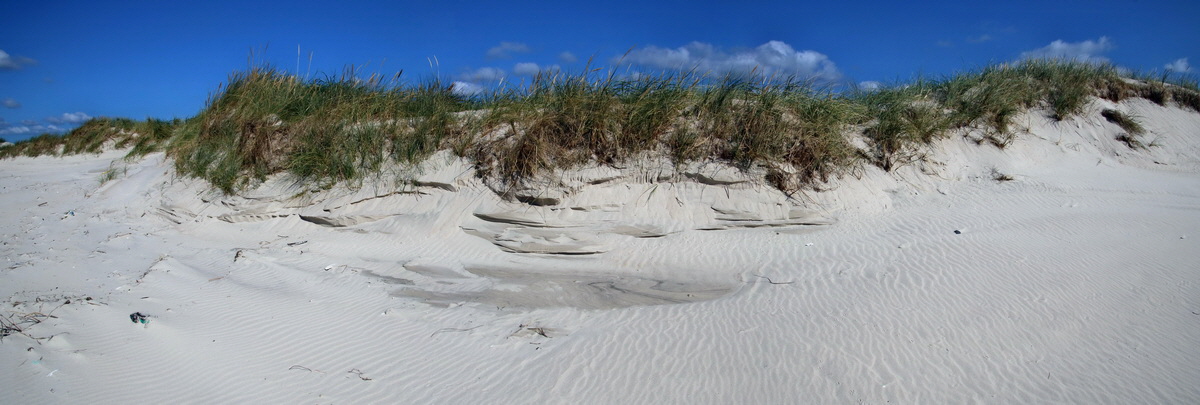 [Group 11]-2015_09_08_014207_2015_09_08_014209-3 imagesp_Bildgr��e �ndern