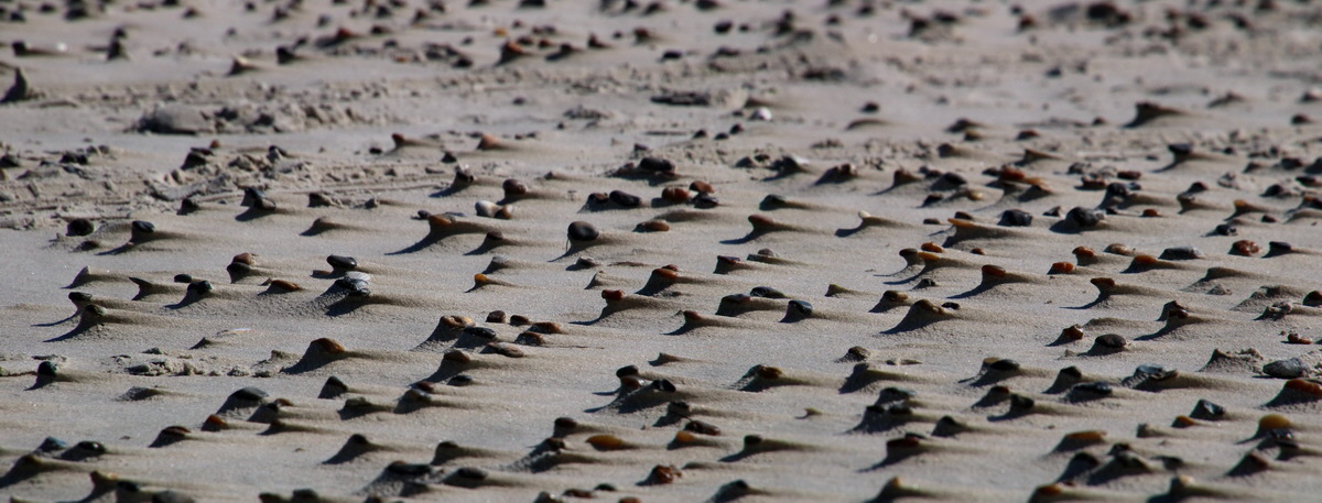 [Group 8]-2015_09_08_014140_2015_09_08_014144-5 imagesp_Bildgr��e �ndern