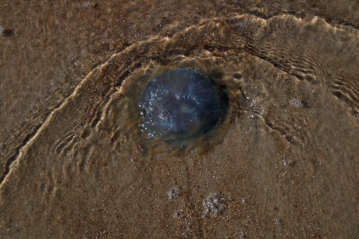 2015_09_08_014126p_Bildgr��e �ndern