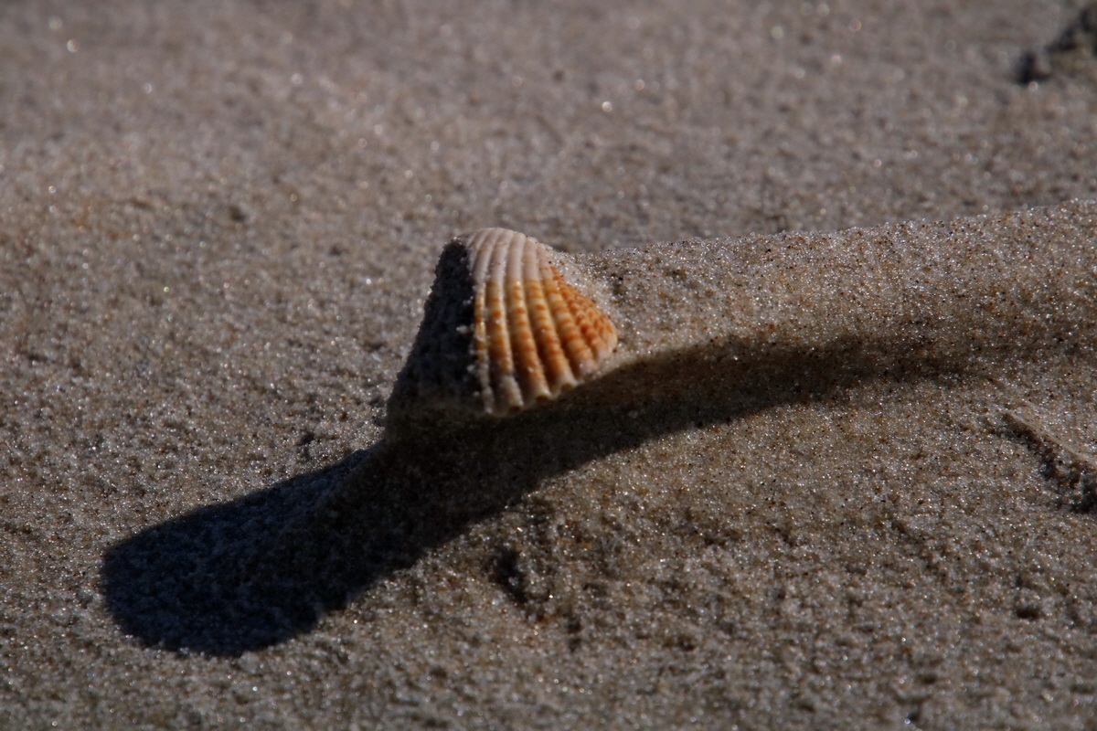 2015_09_08_014149p_Bildgr��e �ndern