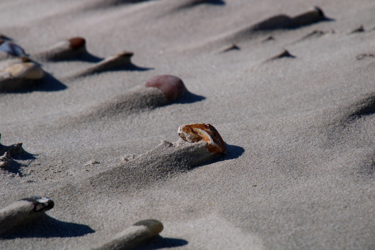 2015_09_08_014291p_Bildgr��e �ndern