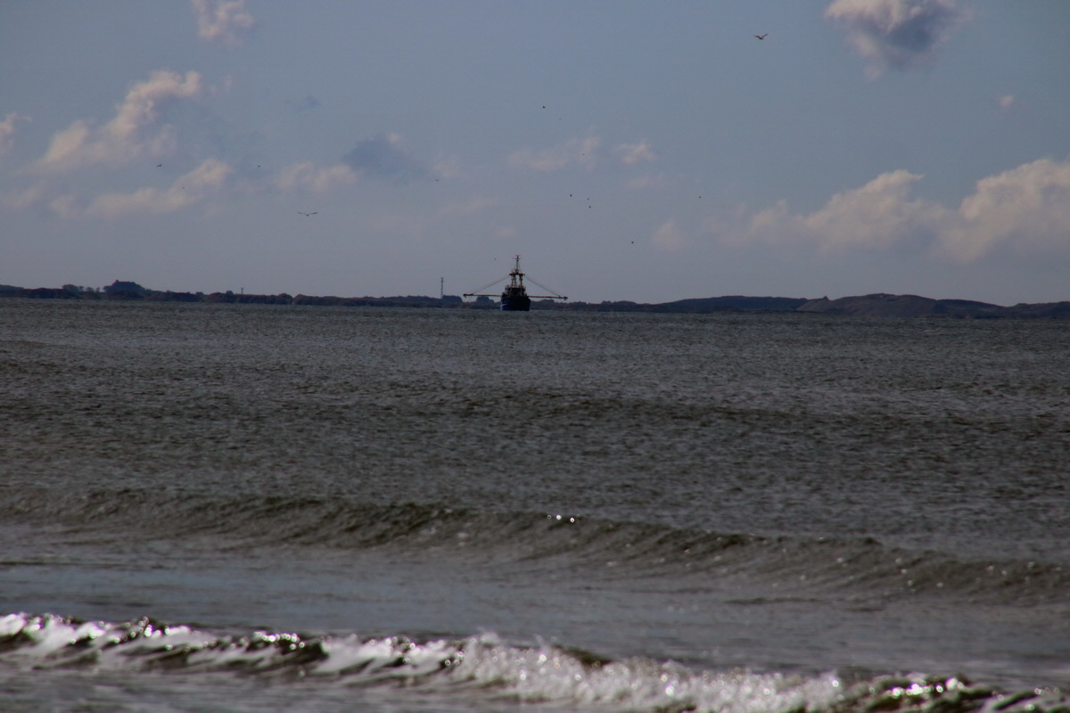 2015_09_09_014476p_Bildgr��e �ndern