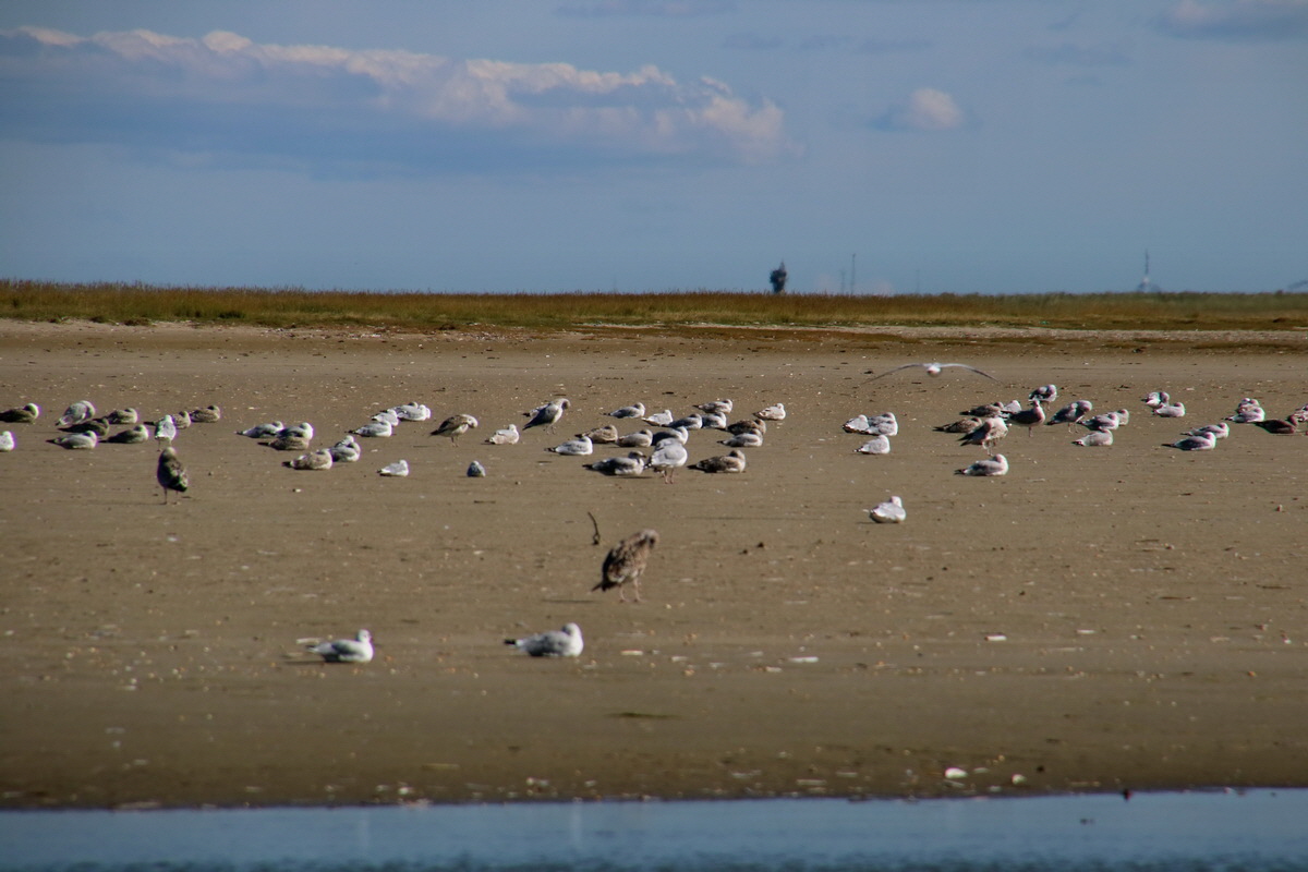 2015_09_09_014609p_Bildgr��e �ndern