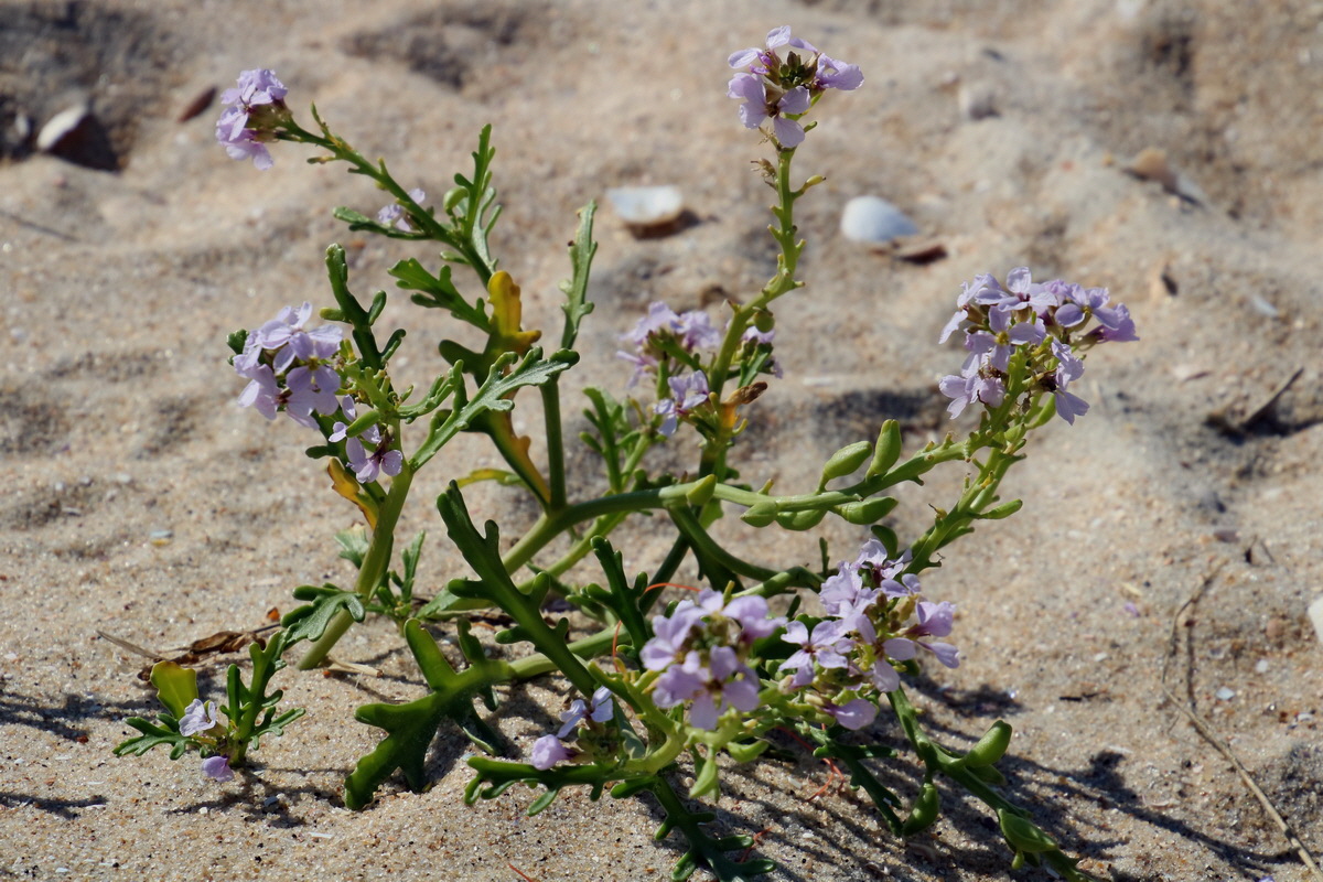 2015_09_09_014633p_Bildgr��e �ndern