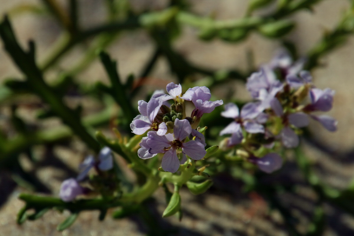 2015_09_09_014634p_Bildgr��e �ndern